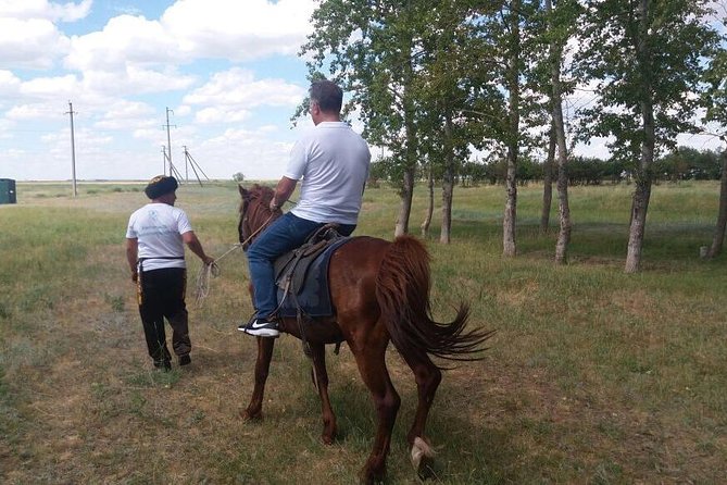 Trip to Kazakh family of Eagle hunters in Astana (6 hours) - Best fit: who will enjoy this day most